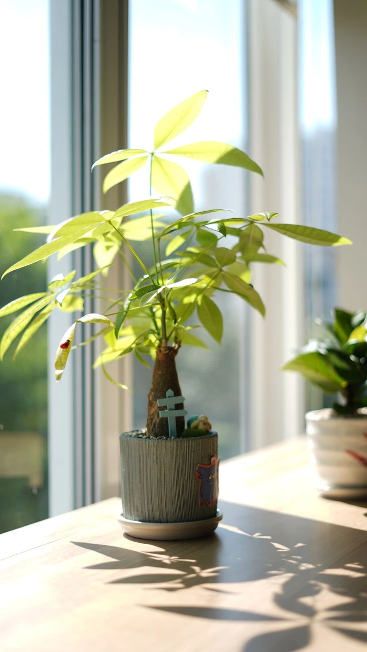 clean office space